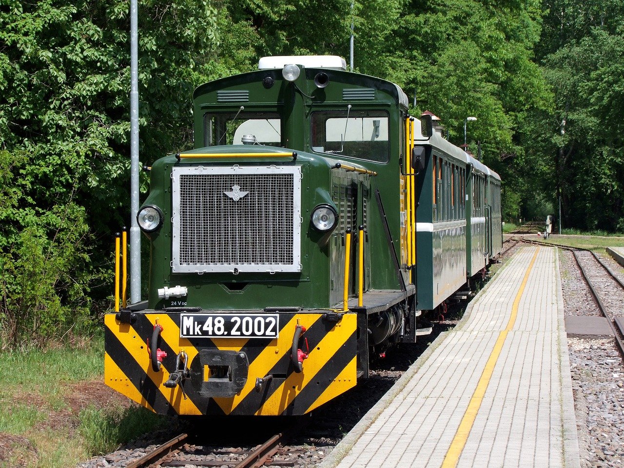 train, woodland railway, locomotive-7229129.jpg
